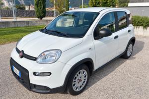 Fiat Panda 1.0 Hybrid Van 2 posti - 27ooo Km