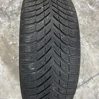 Gomma 4 stagioni nokian seasonproof 195/50 R15 82V