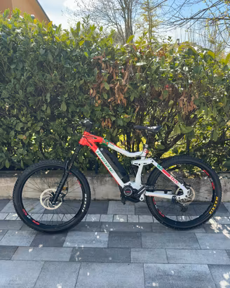 ebike e-bike bici pedalata assistita HAIBIKE
