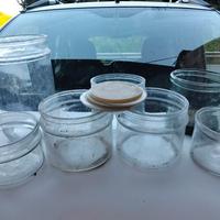 Arbanelle per acciughe