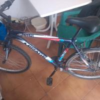 Mountain bike con portapacchi