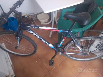 Mountain bike con portapacchi