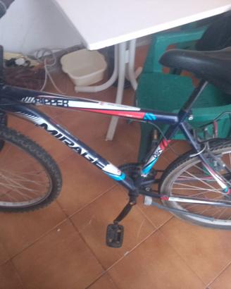Mountain bike con portapacchi