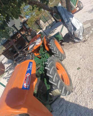 Goldoni Export 18 cv