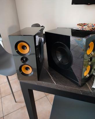 coppia casse stereo