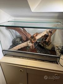 Teche - di tutte le misure