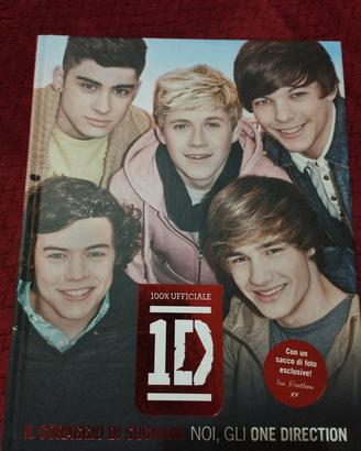 Libro One Direction Il coraggio di sognare 