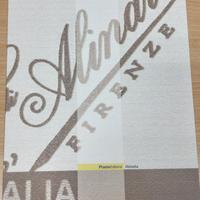 Folder Filatelico Fratelli Alinari Firenze - Post