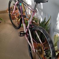 Mountain Bike Bianchi Ragno