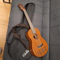 chitarra del cartone disney coco