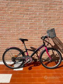 Bicicletta