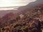 Immagine 29