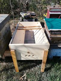 Api. Sciami e nuclei