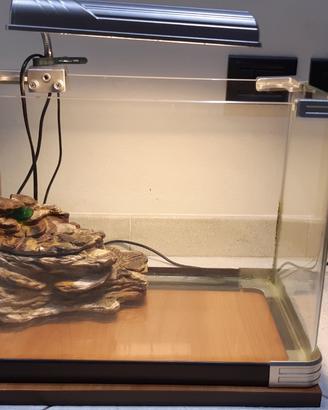 Acquario pesci e tartarughe