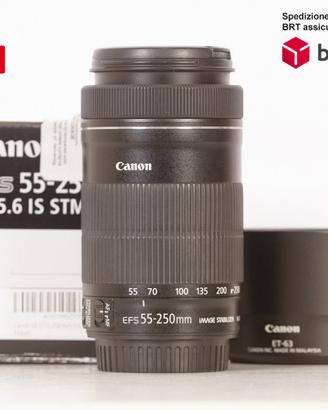 Canon EF-S 55-250 F4-5.6 IS STM (Canon)