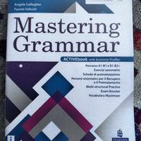 Mastering grammar. Per le Scuole superiori.