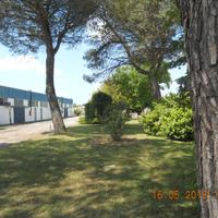 Jolanda di savoia (fe) capannoni RIF.GR17