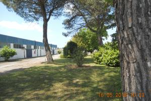 Jolanda di savoia (fe) capannoni RIF.GR17