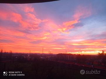 Lavoro Occasionale per Pensionato Annoiato