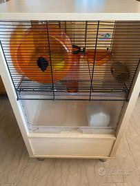 Casa per porcellini d'india e criceti