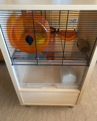 Casa per porcellini d'india e criceti