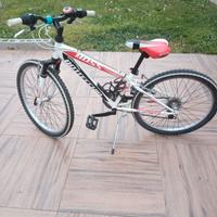 bicicletta bottecchia