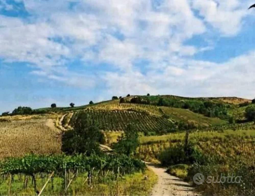 Immobile in asta di 121256 m² a Borgoratto Mormoro - Vista 2