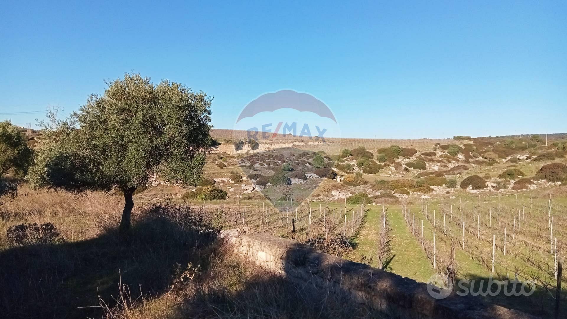 Terreno - Mottola - Vista 3