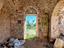 Immagine 16