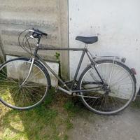 Bici da passeggio uomo