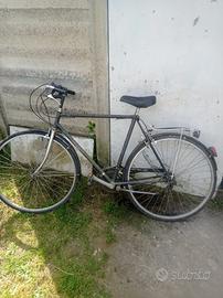 Bici da passeggio uomo