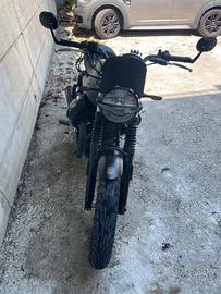 Guzzi v7 850 2021