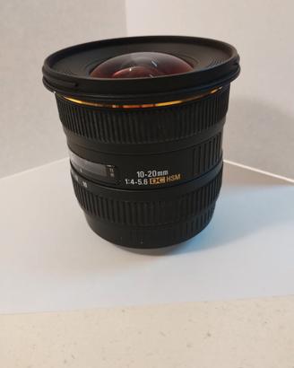 Sigma 10/20mm x Canon