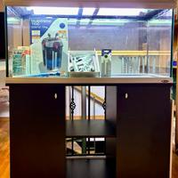 Acquario FERPLAST CAYMAN 110 SILVER 230L + mobile