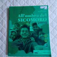 Libro "All'ombra del Sicomoro"