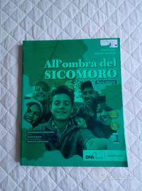 Libro "All'ombra del Sicomoro"