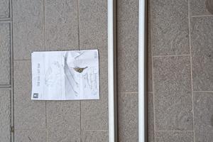 Set barre tetto Peugeot