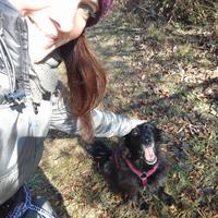 Aiuto compiti e ripetizioni scuola primaria