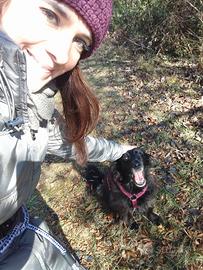 Aiuto compiti e ripetizioni scuola primaria