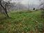 Immagine 20