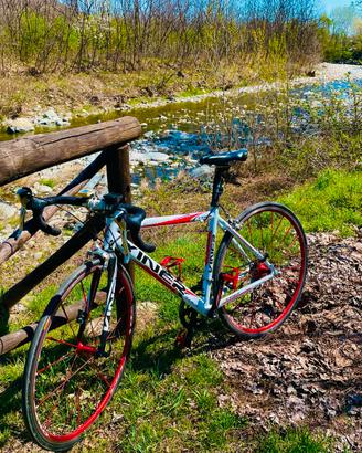 Viner Viva bici da corsa alluminio/forcella carbon