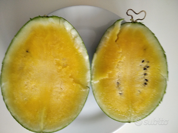 Anguria gialla molto dolce