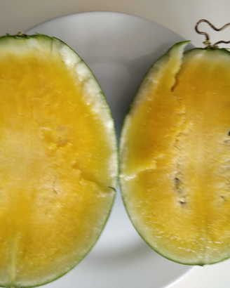 Anguria gialla molto dolce