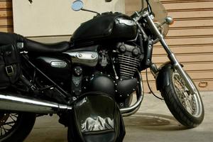 Triumph Legend 900