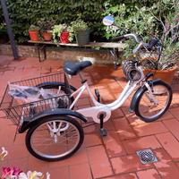 Bicicletta tre ruote