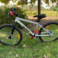 B twin rockeider 300