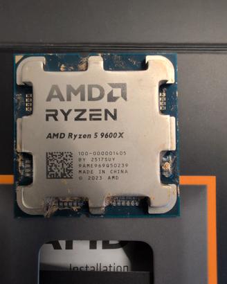 AMD Ryzen 5 9600X