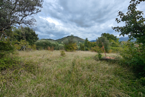 Uliveto provincia di Rieti