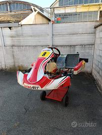 Birel KZ S15