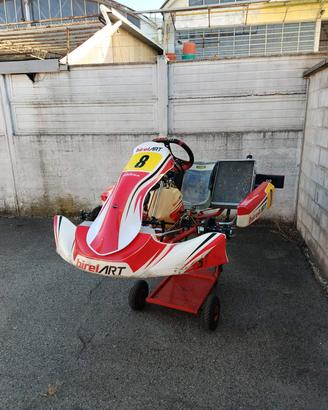 Birel KZ S15